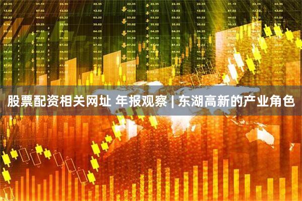 股票配资相关网址 年报观察 | 东湖高新的产业角色