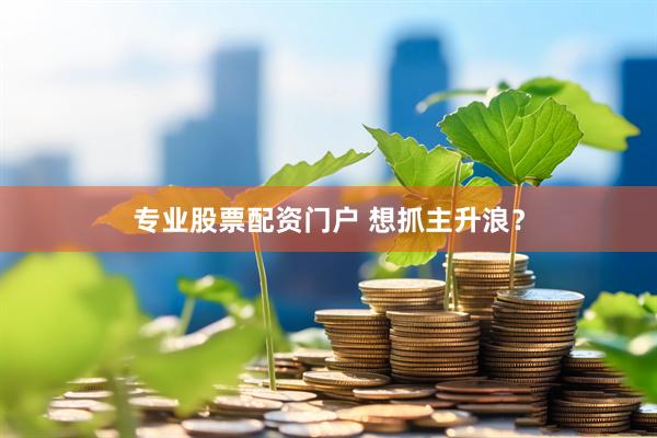 专业股票配资门户 想抓主升浪？