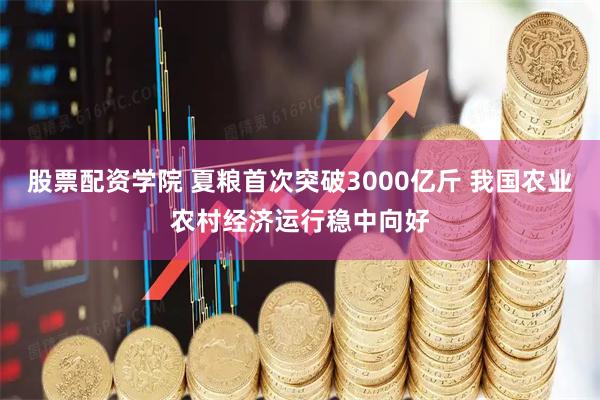 股票配资学院 夏粮首次突破3000亿斤 我国农业农村经济运行稳中向好