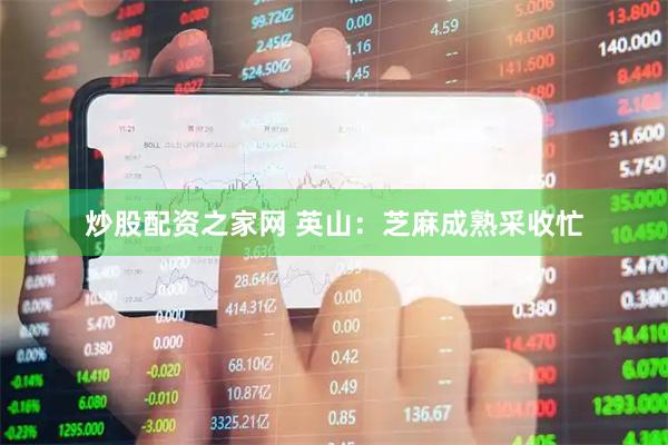 炒股配资之家网 英山：芝麻成熟采收忙