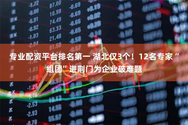 专业配资平台排名第一 湖北仅3个！12名专家“组团”进荆门为企业破难题
